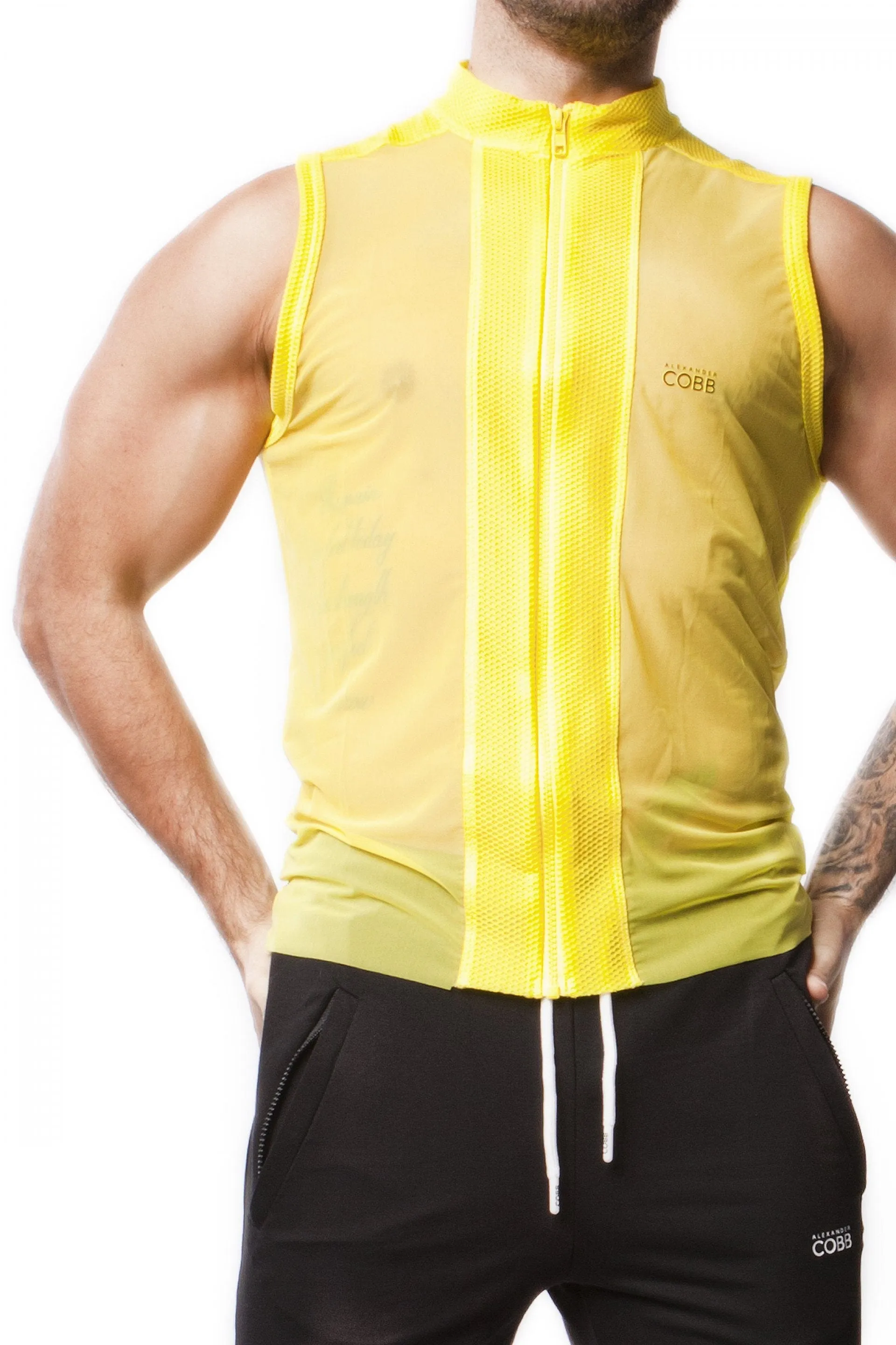 ALEXANDER COBB SLEEVELESS TRANSPARENT YELLOW