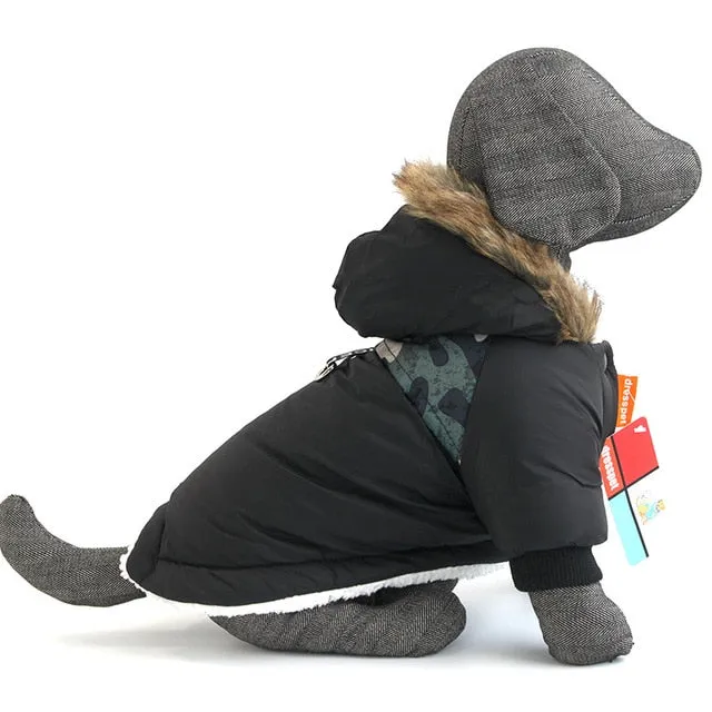 Canada Dog Parka