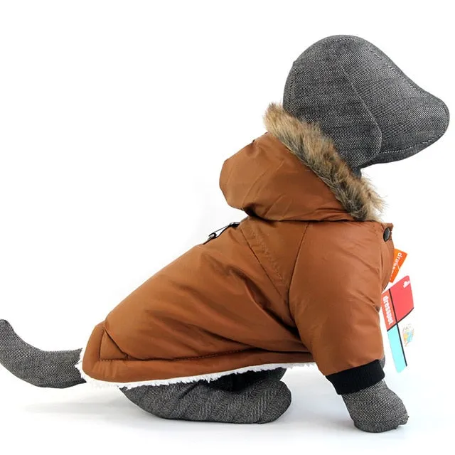 Canada Dog Parka