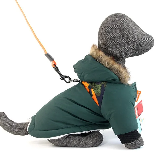 Canada Dog Parka