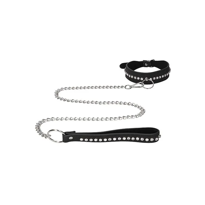 Diamond Studded Collar w/Leash