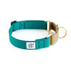 Dog Bone Martingale Collar Teal & Gold