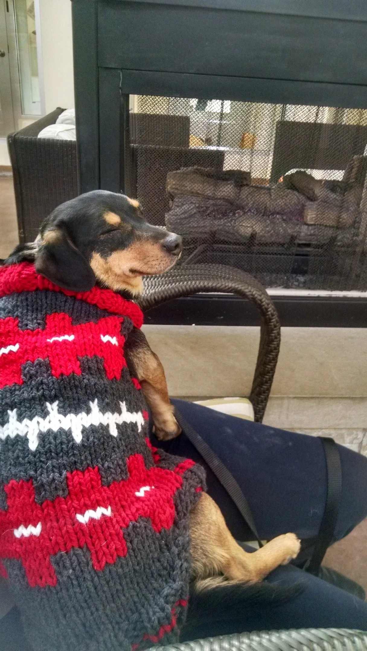 Hand Knit Dog Sweaters