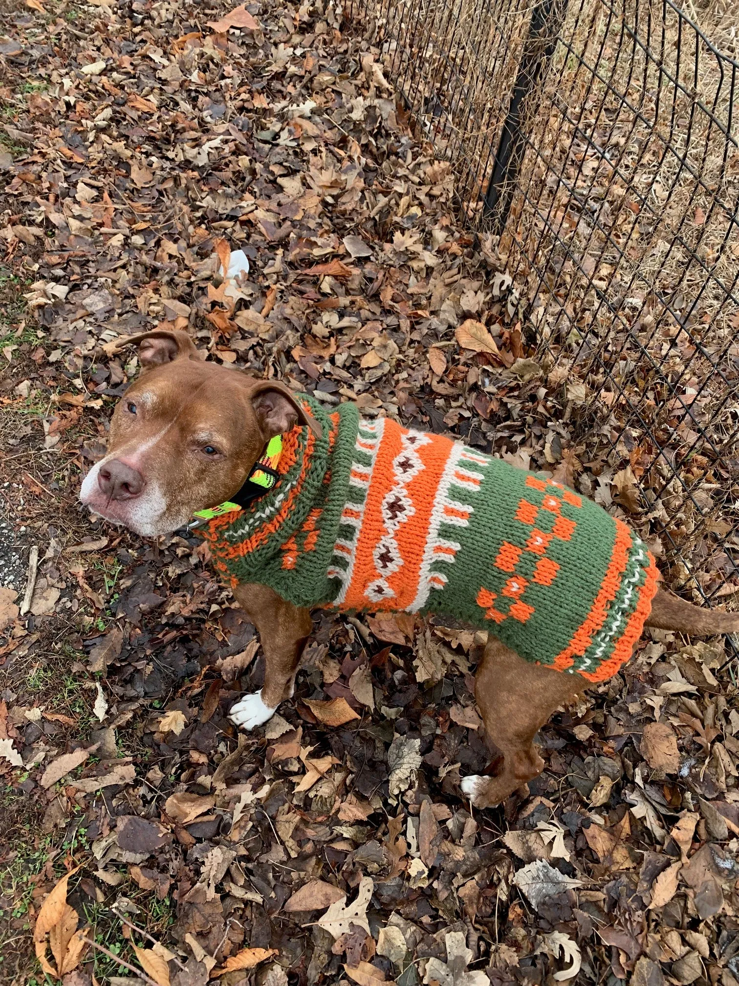 Hand Knit Dog Sweaters