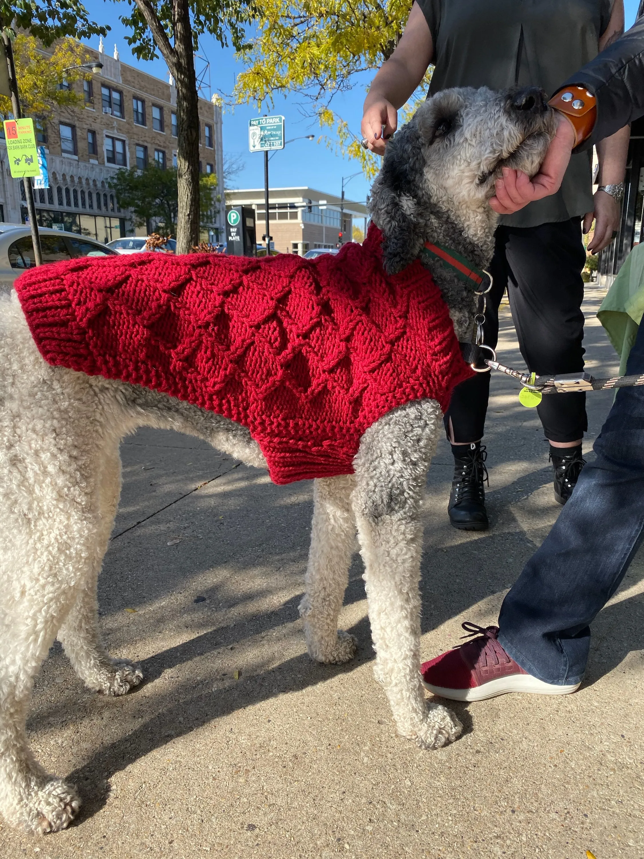 Hand Knit Dog Sweaters