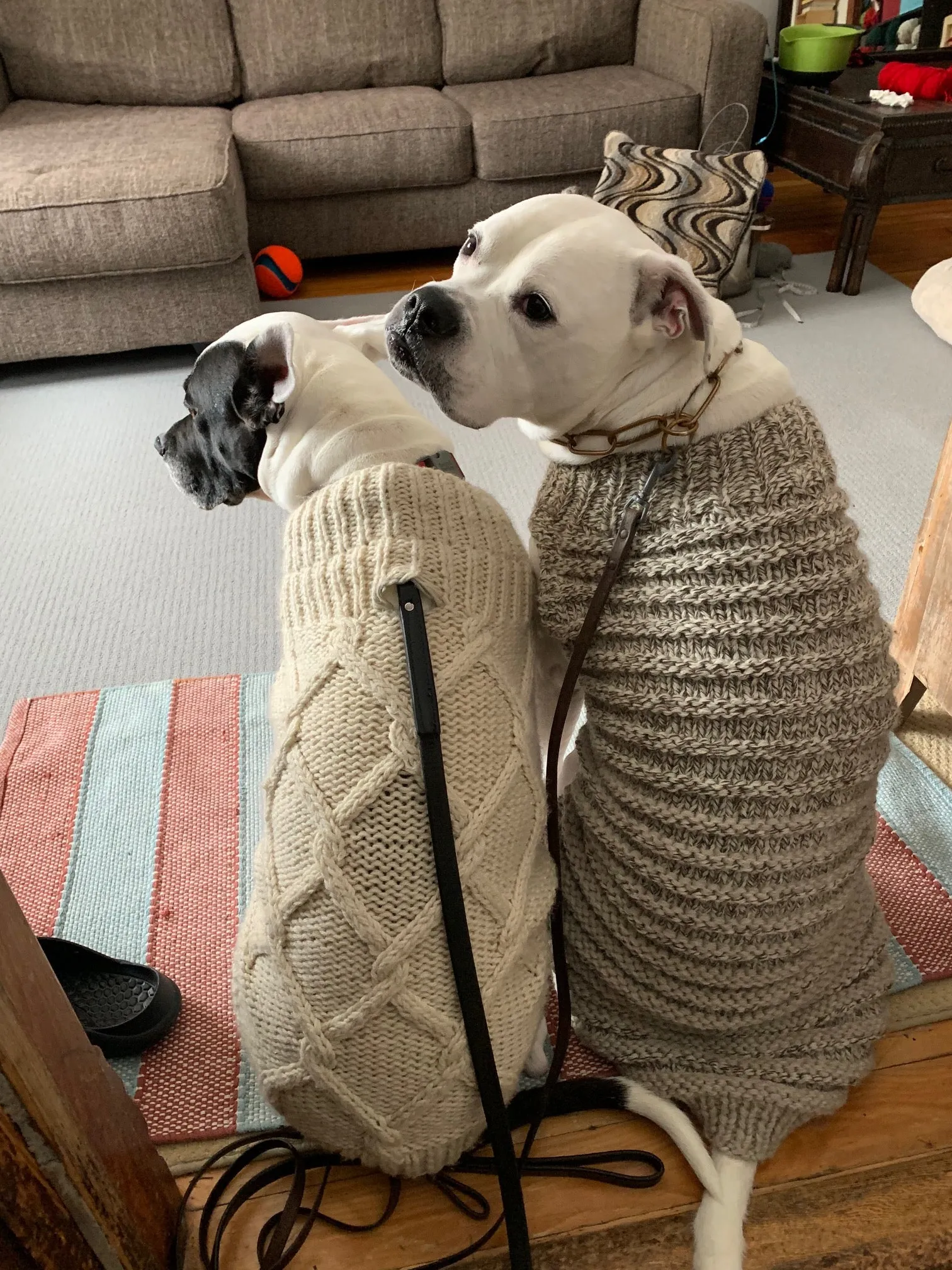 Hand Knit Dog Sweaters