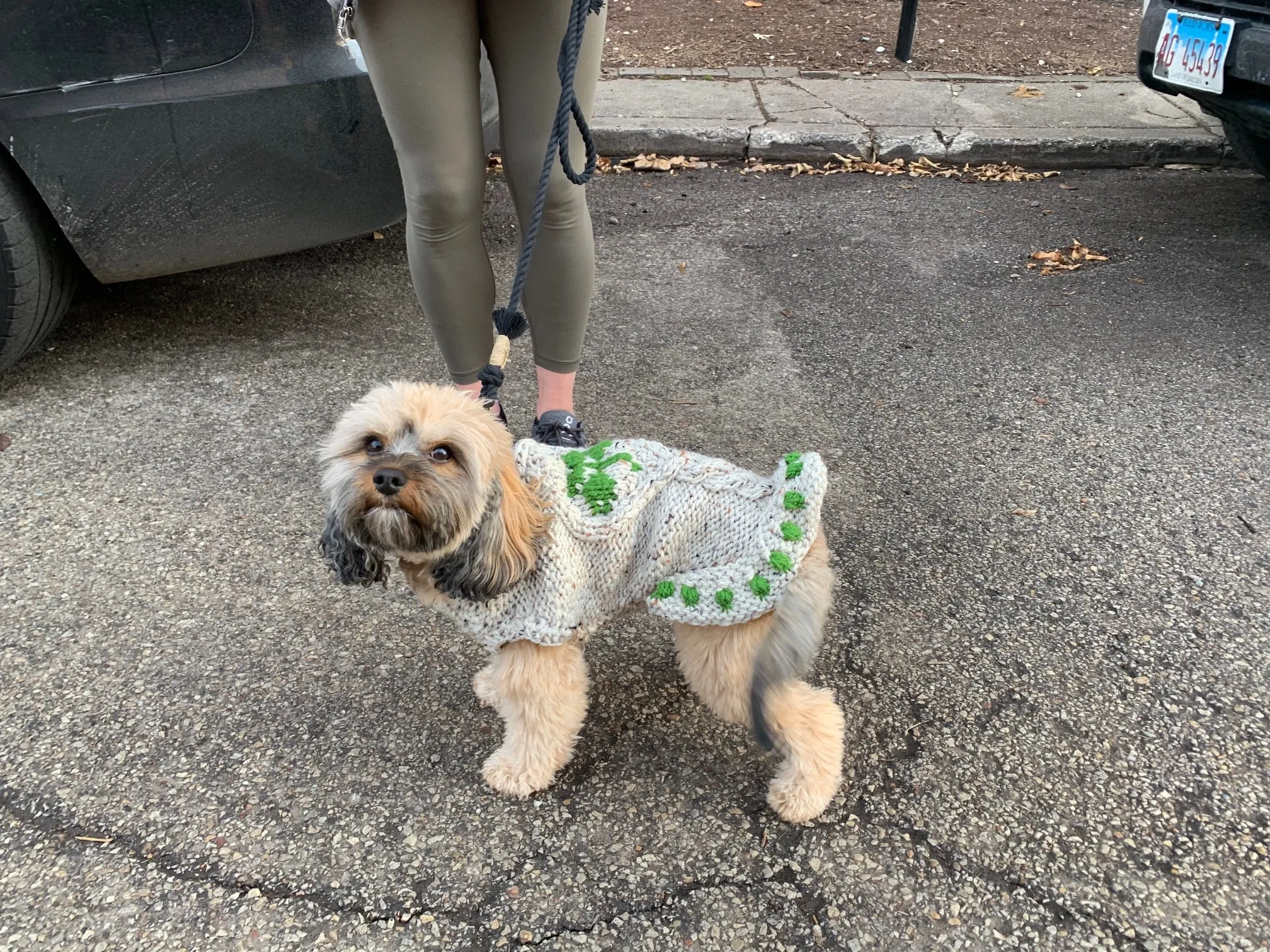 Hand Knit Dog Sweaters