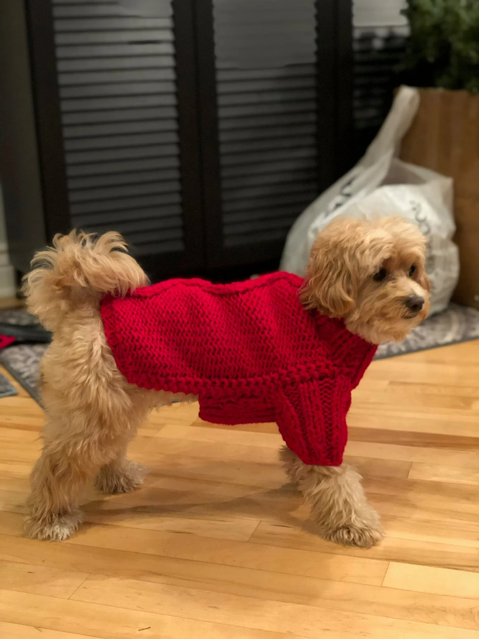 Hand Knit Dog Sweaters