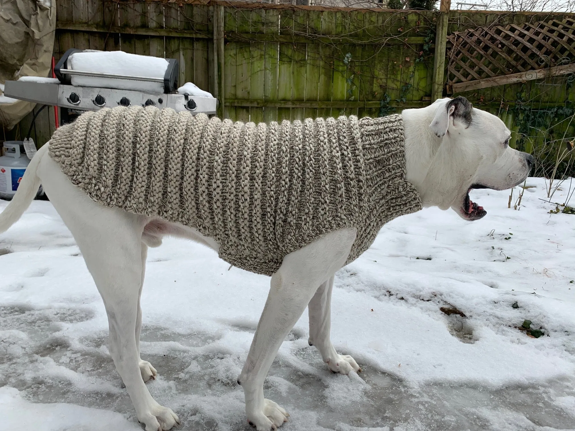 Hand Knit Dog Sweaters