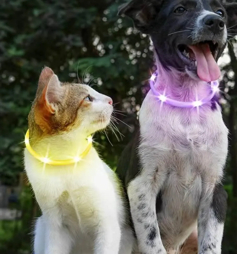 LaRoo Cheese Rechargeable Waterproof Led Light Collar For Small Dogs and Cats