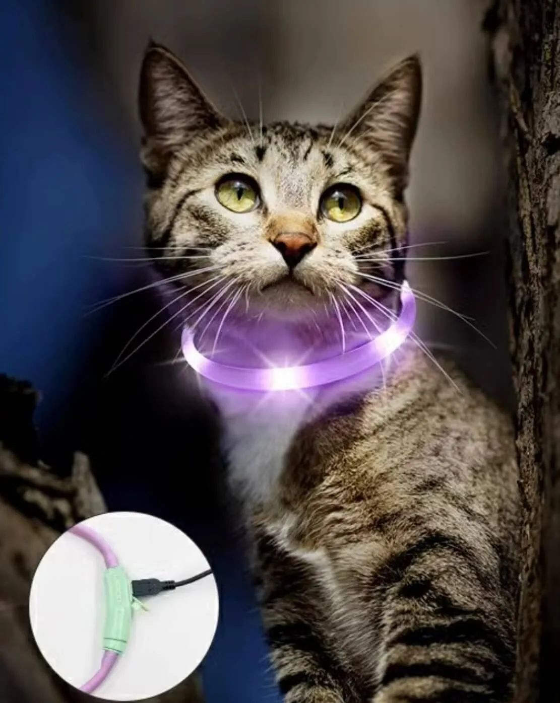 LaRoo Cheese Rechargeable Waterproof Led Light Collar For Small Dogs and Cats