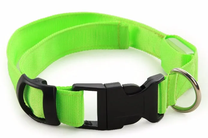 LED Dog Collar