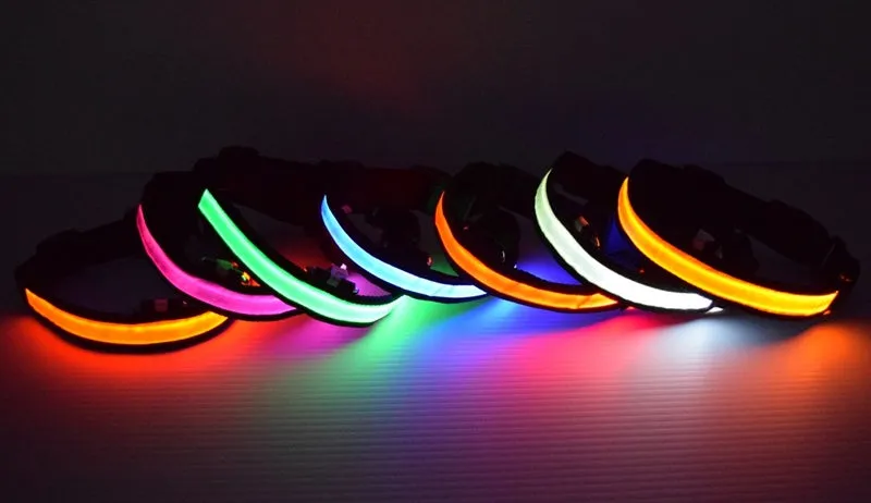 LED Dog Collar