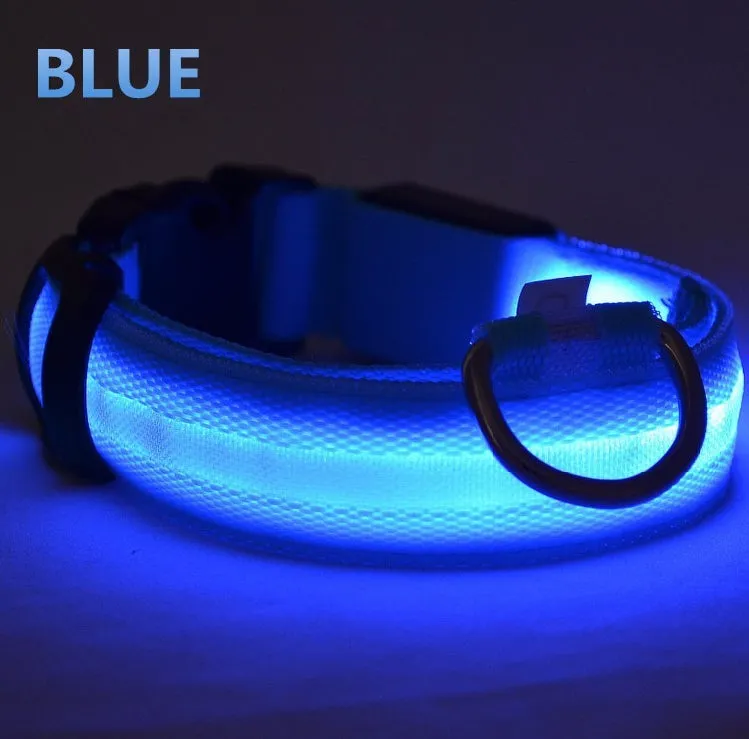 LED Dog Collar