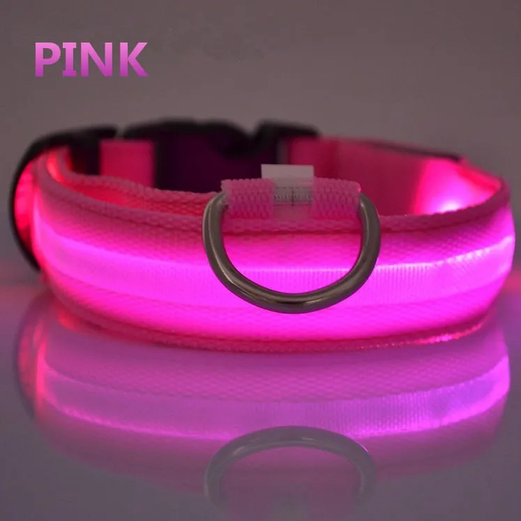 LED Dog Collar