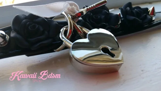 Luxury Padlock Collar