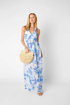 Picturesque Maxi Dress