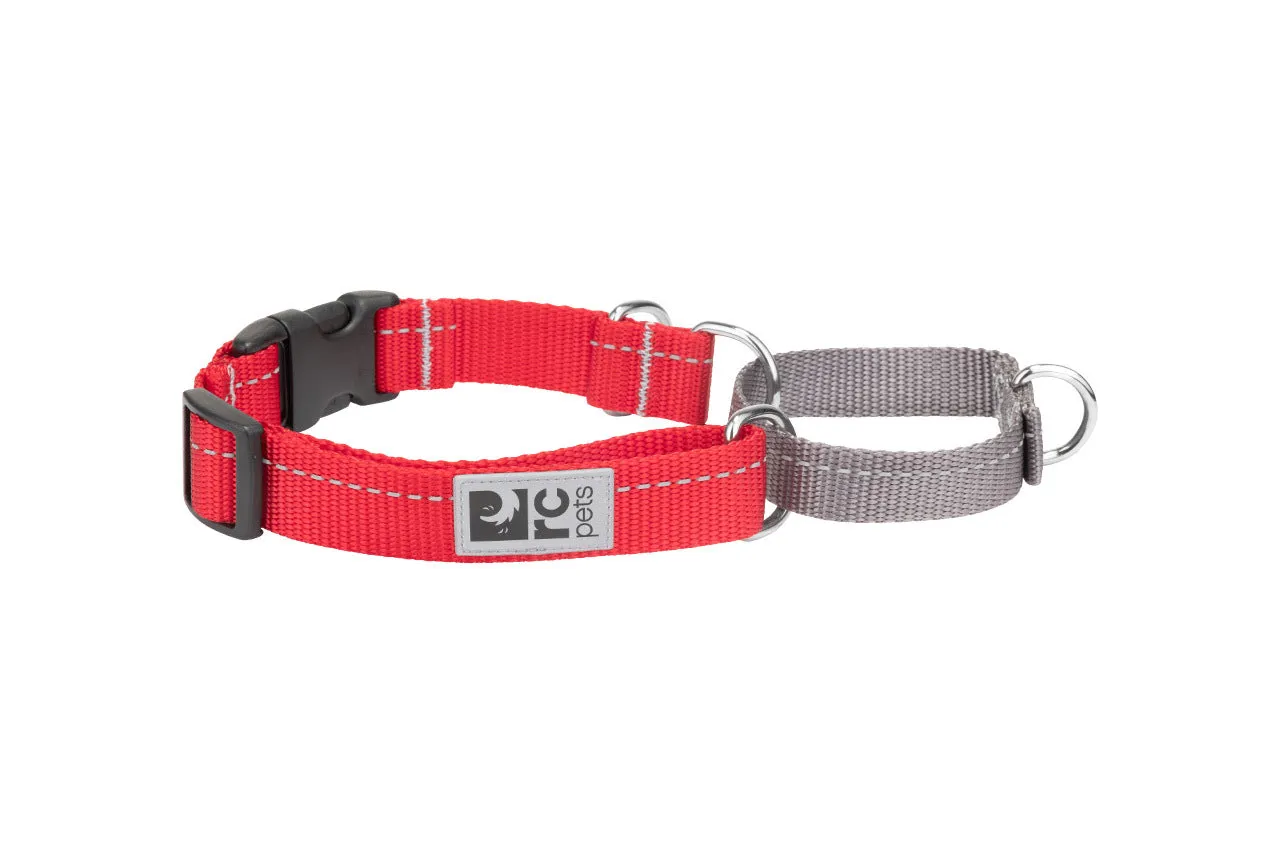 RC Pets Primary Web Training Clip Martingale Collar for Dogs in Red