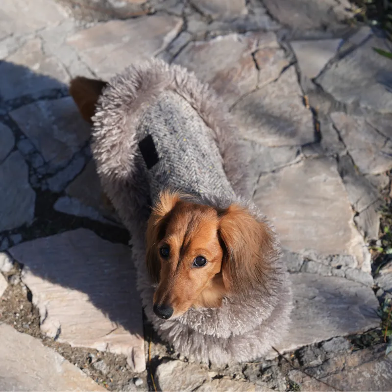 Sable Cape (Alpaca Wool Tweed)