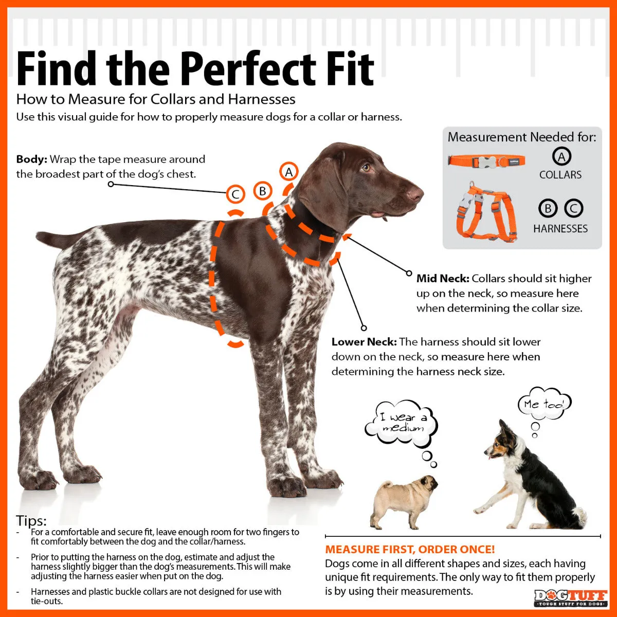 Snake Eyes Orange Dog Harness