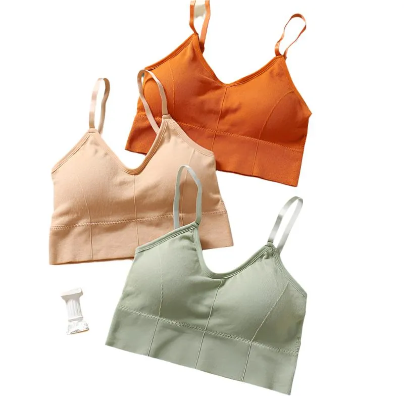 TEEK - Tank Crop Seamless Bra Camisole