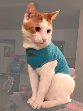 The Ultimate Warm Fleece Sweater for Cats 3 LBS to 15 LBS